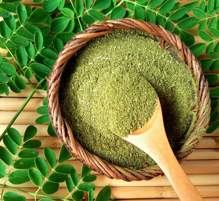 Moringa Powder